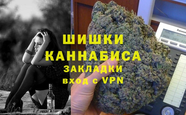 шишки Богородск