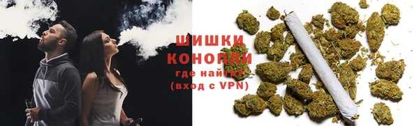 шишки Богданович