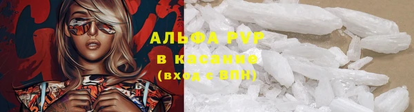 шишки Богданович