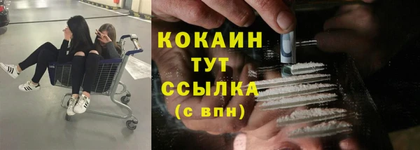 шишки Богородск