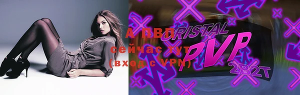шишки Богданович