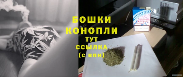шишки Богородск