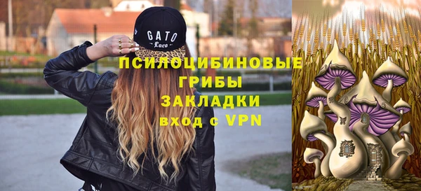 шишки Богданович