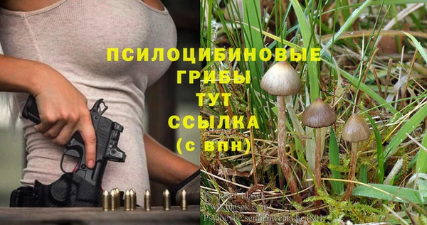 шишки Богородск