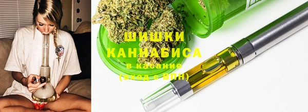 шишки Богданович