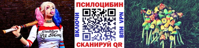 Псилоцибиновые грибы Psilocybe  нарко площадка официальный сайт  Саранск 